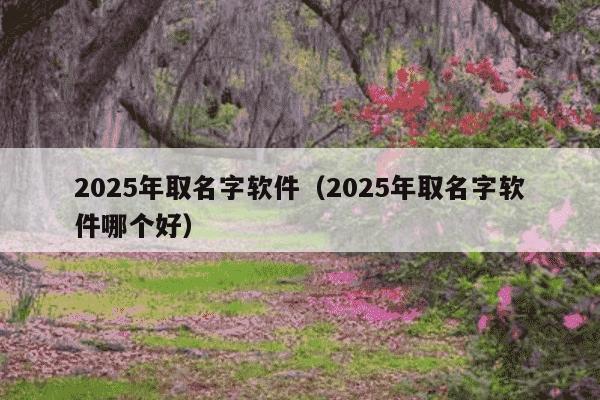 2025年取名字软件（2025年取名字软件哪个好）