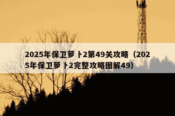 2025年保卫萝卜2第49关攻略（2025年保卫萝卜2完整攻略图解49）