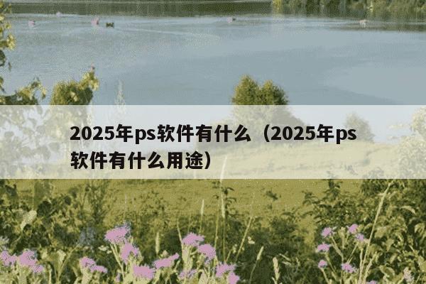 2025年ps软件有什么（2025年ps软件有什么用途）