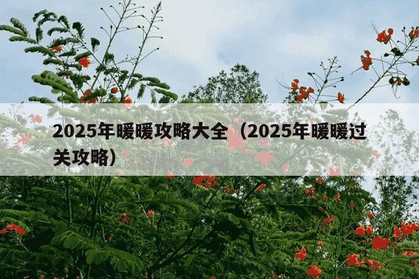 2025年暖暖攻略大全（2025年暖暖过关攻略）