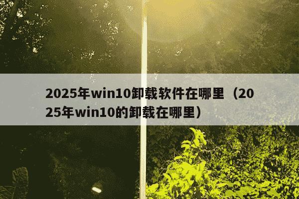 2025年win10卸载软件在哪里（2025年win10的卸载在哪里）