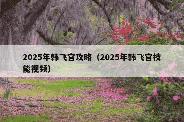 2025年韩飞官攻略（2025年韩飞官技能视频）