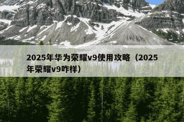 2025年华为荣耀v9使用攻略（2025年荣耀v9咋样）