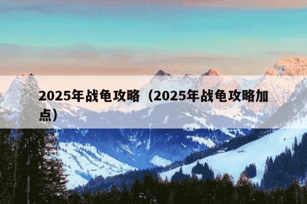 2025年战龟攻略（2025年战龟攻略加点）