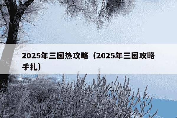 2025年三国热攻略（2025年三国攻略手扎）