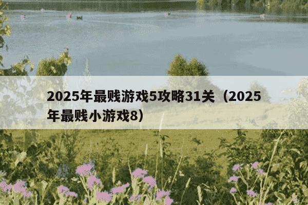 2025年最贱游戏5攻略31关（2025年最贱小游戏8）