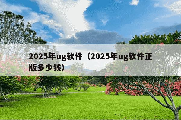 2025年ug软件（2025年ug软件正版多少钱）