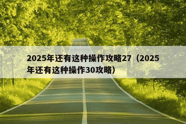 2025年还有这种操作攻略27（2025年还有这种操作30攻略）