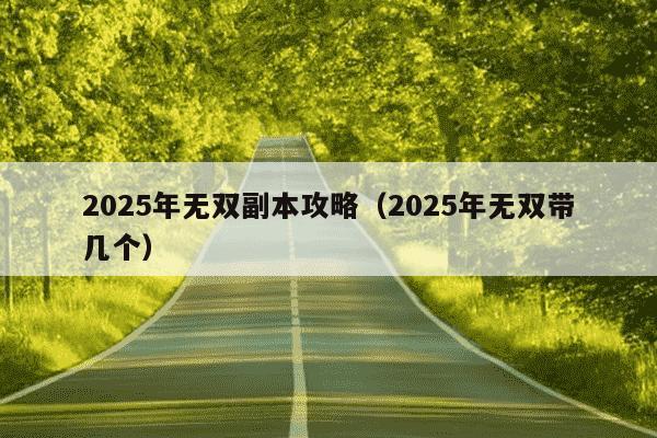 2025年无双副本攻略（2025年无双带几个）