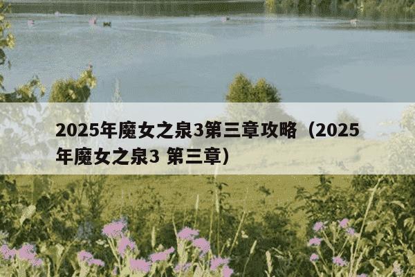 2025年魔女之泉3第三章攻略（2025年魔女之泉3 第三章）