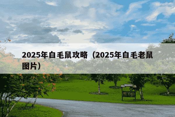 2025年白毛鼠攻略（2025年白毛老鼠图片）