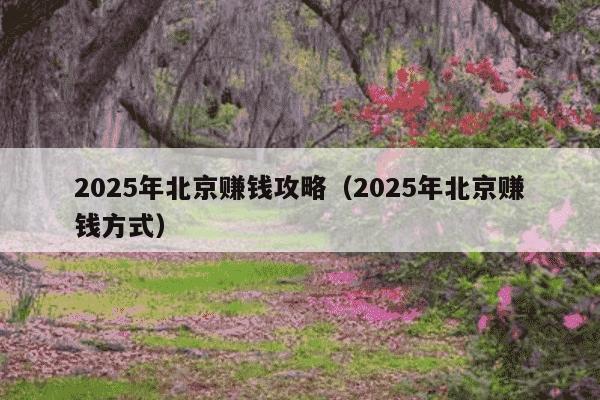 2025年北京赚钱攻略（2025年北京赚钱方式）