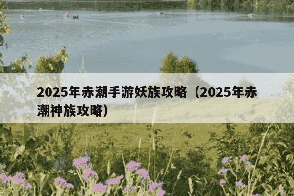 2025年赤潮手游妖族攻略（2025年赤潮神族攻略）