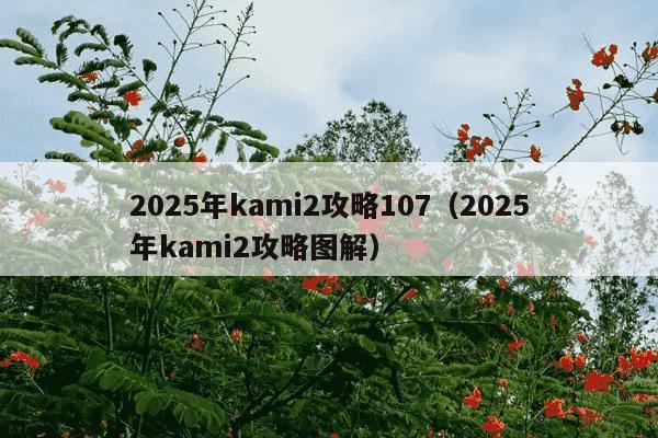 2025年kami2攻略107（2025年kami2攻略图解）