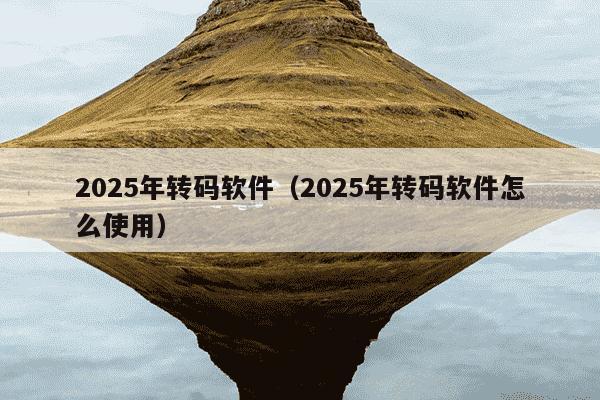 2025年转码软件（2025年转码软件怎么使用）