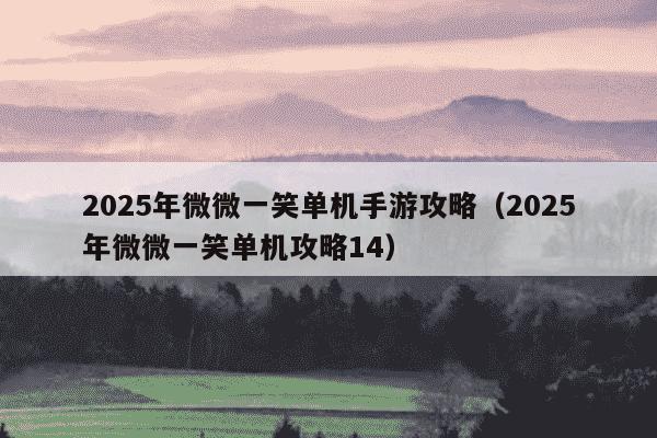 2025年微微一笑单机手游攻略（2025年微微一笑单机攻略14）
