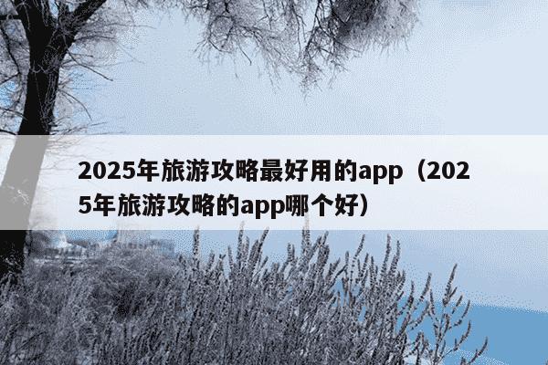 2025年旅游攻略最好用的app（2025年旅游攻略的app哪个好）