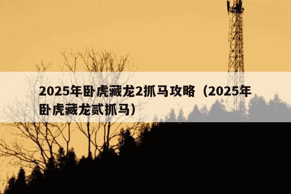 2025年卧虎藏龙2抓马攻略（2025年卧虎藏龙贰抓马）